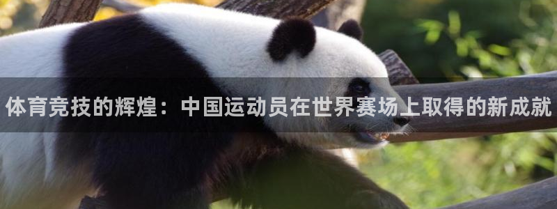 kok中欧体育登录