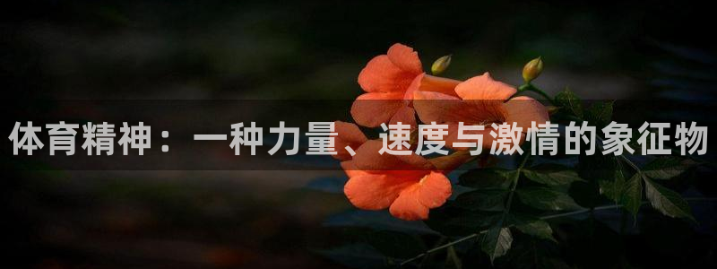 中欧体育ac米兰
