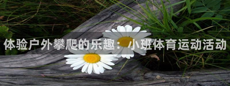 kok新版中欧体育