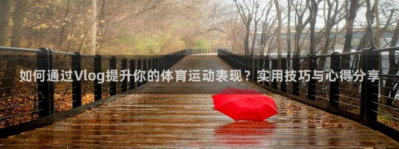 中欧体育zoty下载