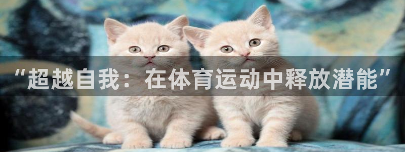 中欧体育官网