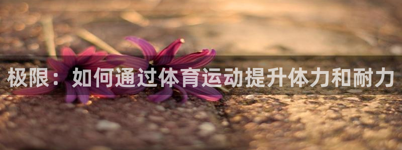 中欧体育全站app：极限：如何通过体育运动提升体力和耐力