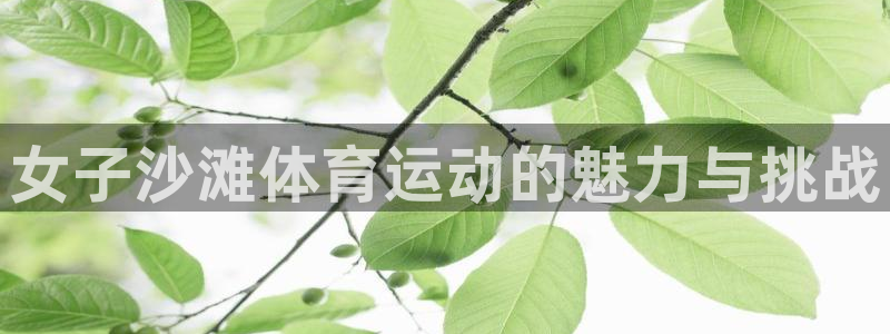 中欧体育网站：女子沙滩体育运动的魅力与挑战