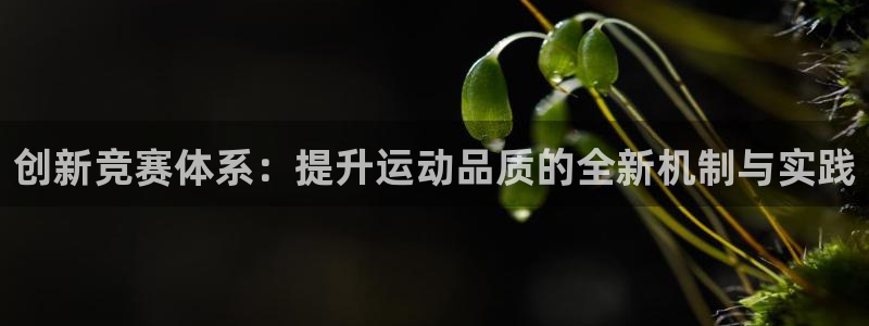 zoty中欧体育平台：创新竞赛体系：提升运动品质的全新机制与实践