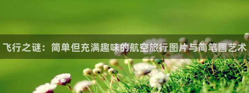 中欧体育客服：飞行之谜：简单但充满趣味的航空旅行图片与简笔画艺术
