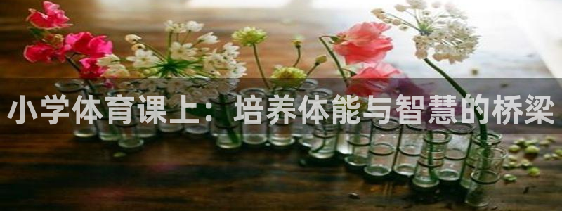 zyty中欧体育平台：小学体育课上：培养体能与智慧的桥梁