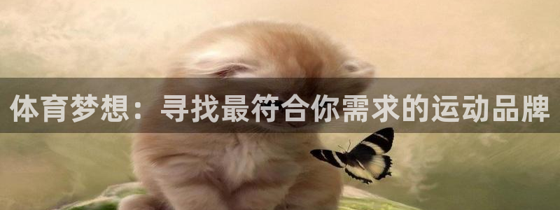 kok中欧体育：体育梦想：寻找最符合你需求的运动品牌