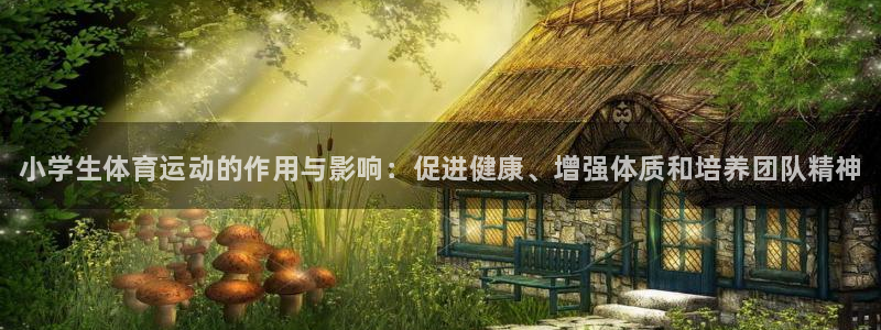 中欧体育客服