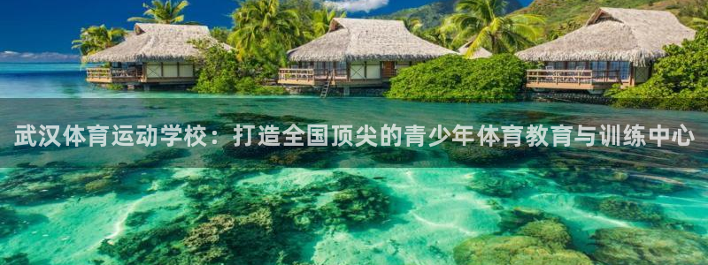 中欧体育集团：武汉体育运动学校：打造全国顶尖的青少年体育教育与训练中心