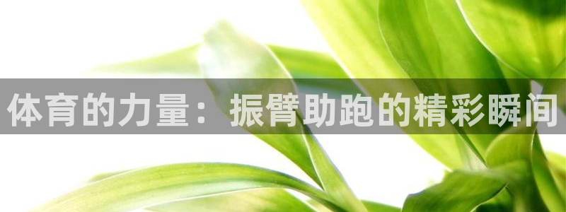中欧体育网页登录：体育的力量：振臂助跑的精彩瞬间