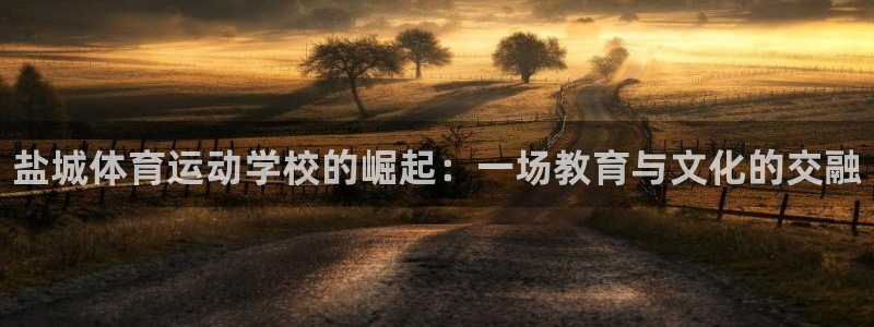 中欧体育集团：盐城体育运动学校的崛起：一场教育与文化的交融