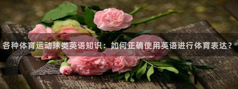 中欧体育官网