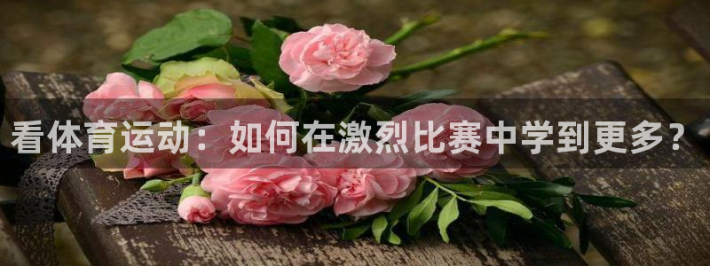 中欧体育网页版：看体育运动：如何在激烈比赛中学到更多？