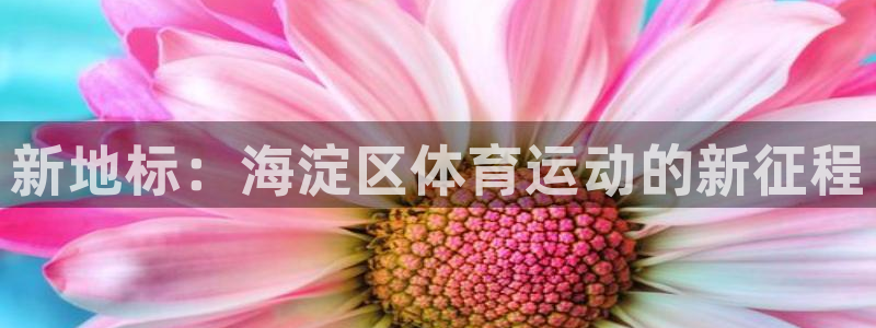 zoty中欧体育网址多少：新地标：海淀区体育运动的新征程