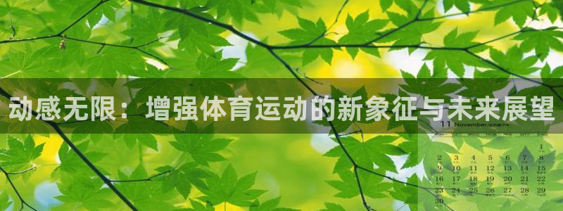 中欧体育kok：动感无限：增强体育运动的新象征与未来展望