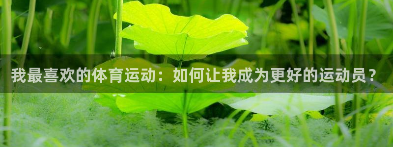 中欧体育客服：我最喜欢的体育运动：如何让我成为更好的运动员？