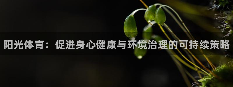 中欧体育平台：阳光体育：促进身心健康与环境治理的可持续策略
