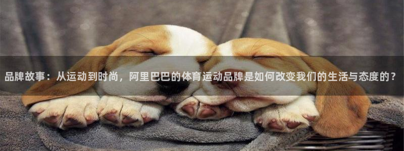 中欧体育kok：品牌故事：从运动到时尚，阿里巴巴的体育运动品牌是如何改变我们的生活与态度的？