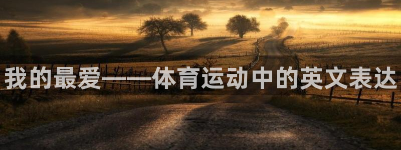 中欧体育集团：我的最爱——体育运动中的英文表达